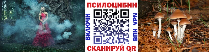 купить наркотики сайты Жигулёвск Галлюциногенные грибы MAGIC MUSHROOMS